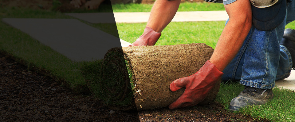 Portland Landscapers